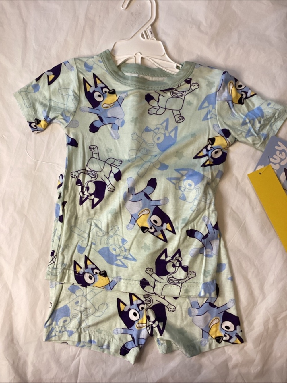 Light Green Bluey Character Kids Pajama Set - Unbranded
